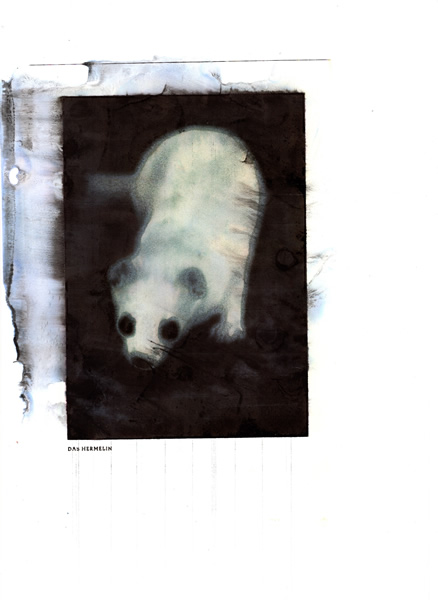 Serie: "Hermelin"